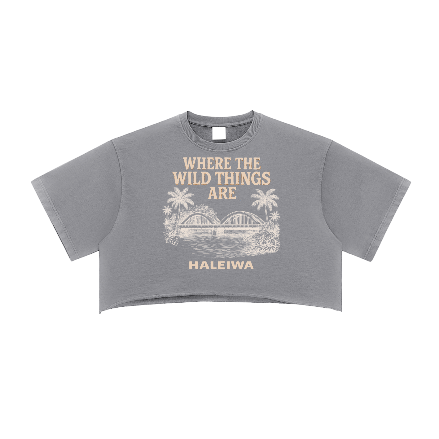 Haleiwa Rainbow Bridge Vintage Snow Washed Raw Edge Crop Top