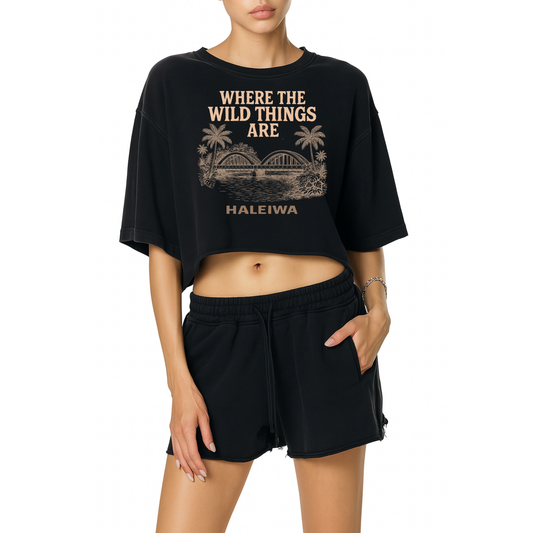 Haleiwa Rainbow Bridge Snow Washed Raw Edge Crop Top Charcoal