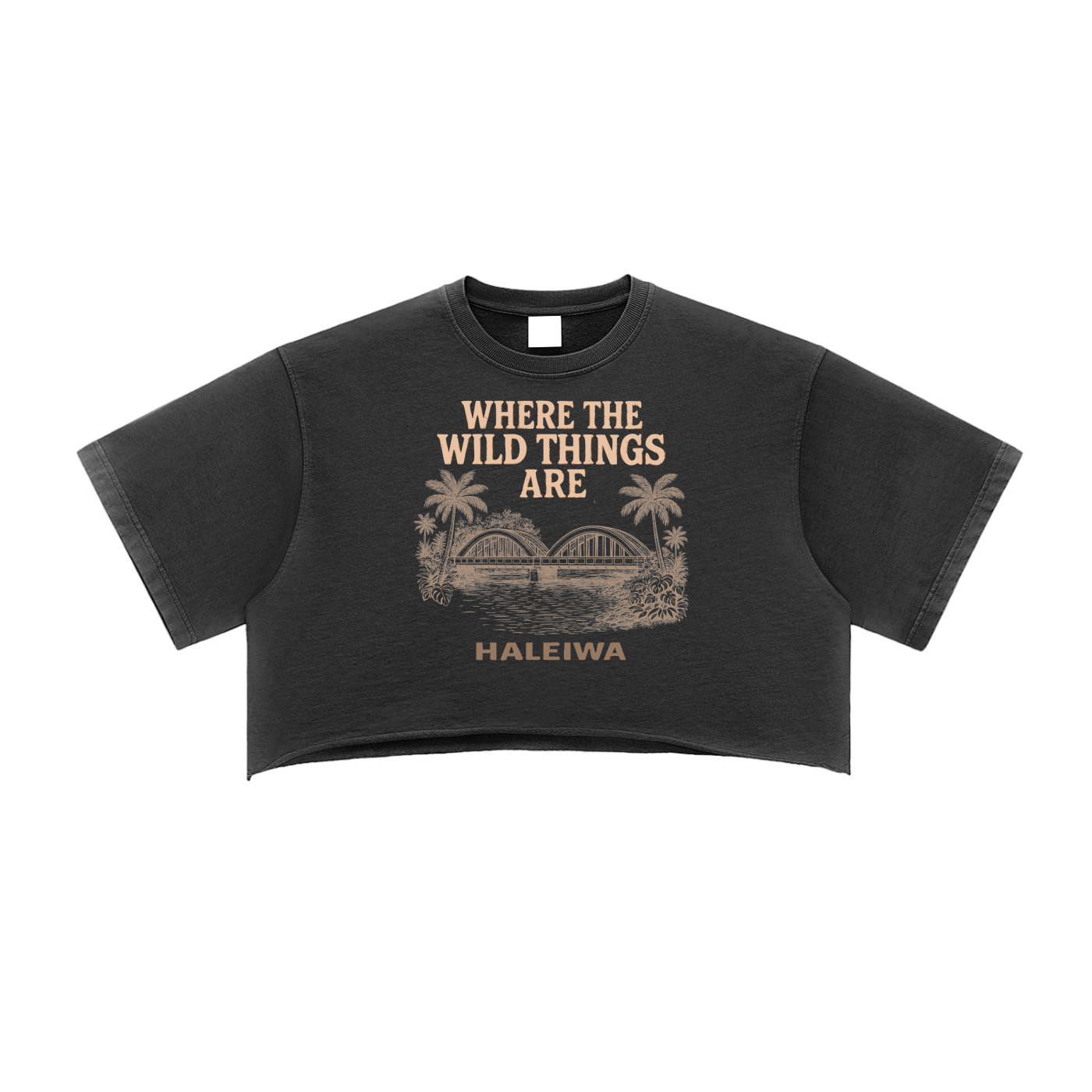 Haleiwa Rainbow Bridge Snow Washed Raw Edge Crop Top Charcoal