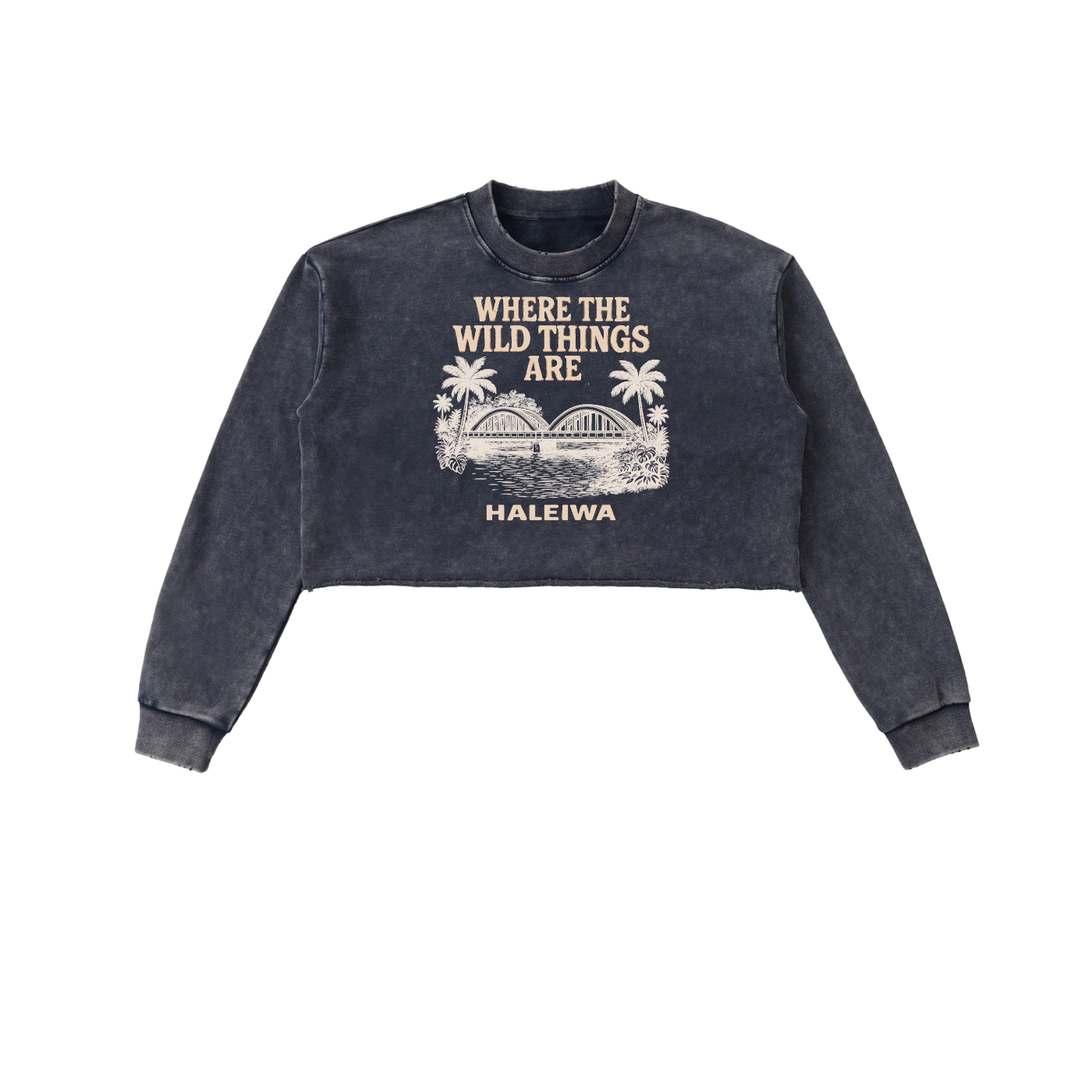 Women's Clothing,Sweatshirt